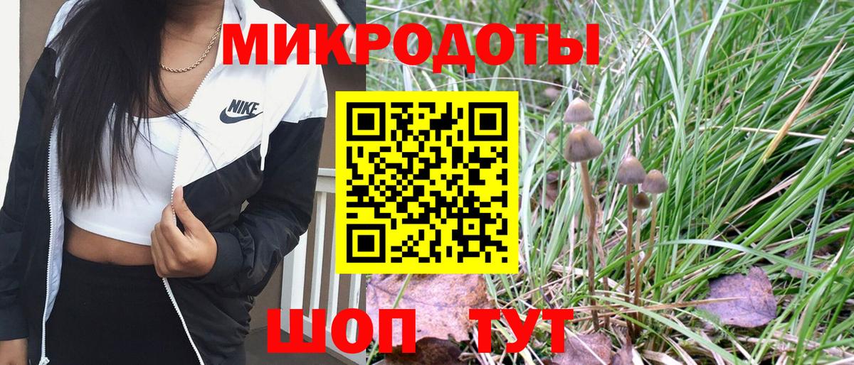 Галлюциногенные грибы MAGIC MUSHROOMS Щёлково
