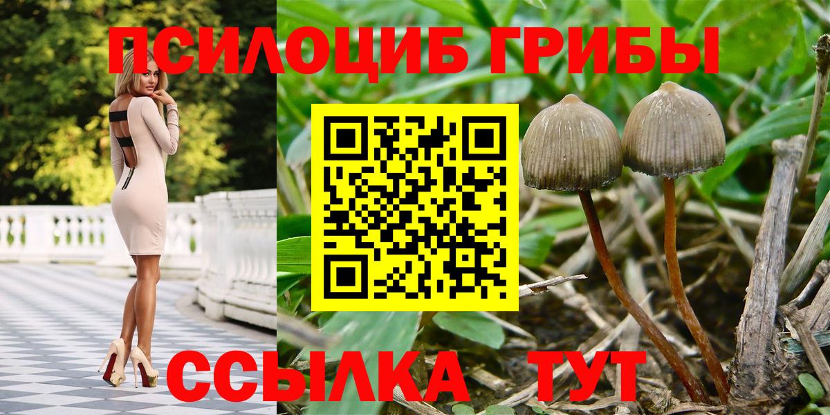 Галлюциногенные грибы MAGIC MUSHROOMS  Вход с VPN  Щёлково 